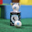Sphero Mini App-Enabled Robotic Ball (Golf Edition)