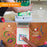 Osmo Little Genius Starter Kit